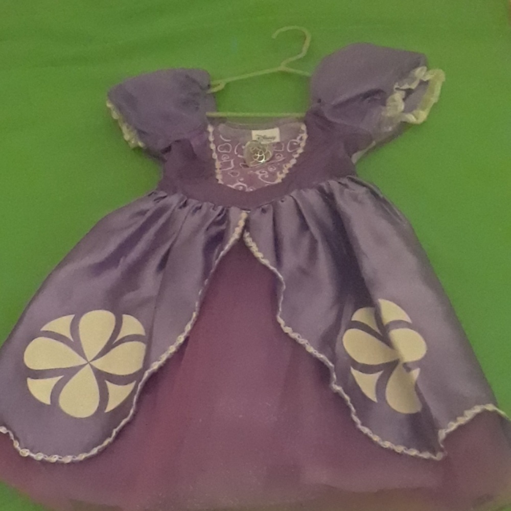 Sophia the First dress